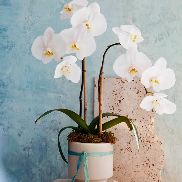 San Diego California - Picture 5 of 5